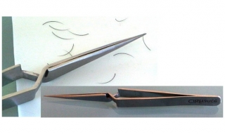 N2  Pince-X-